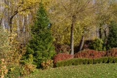 img-1320