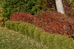 img-1329