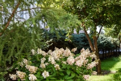 img-1645