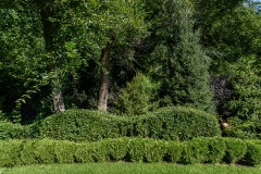 img-1718