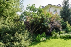 img-1720