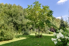 img-1762