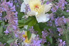 img-20230626-wa0074