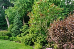 img_20220608_200631