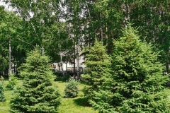 img_20210617_142845