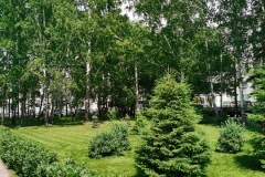 img_20210617_142848
