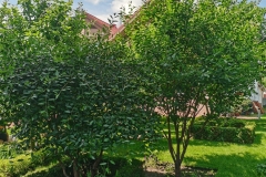 img_20230703_121122